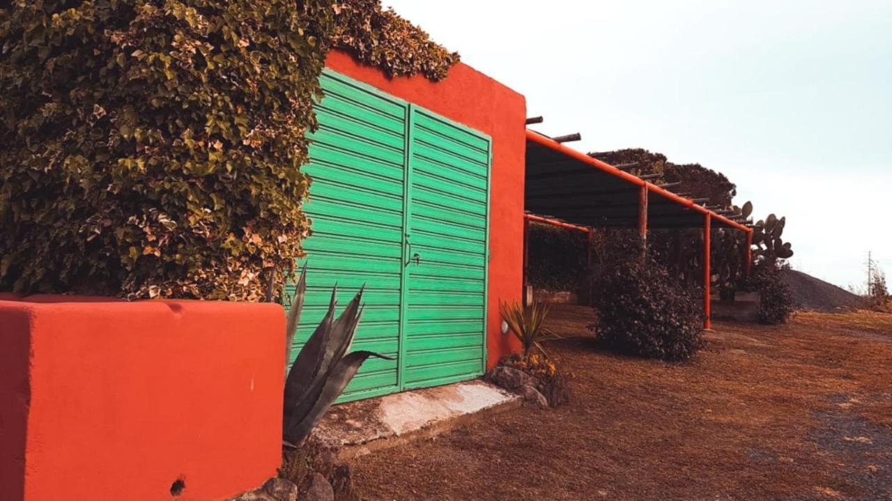 Tenuta Di Pontesodo Montalto di Castro Dış mekan fotoğraf