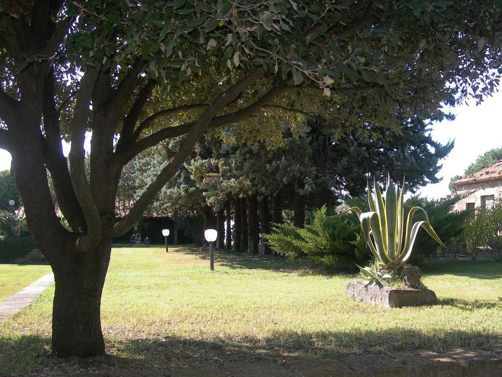 Tenuta Di Pontesodo Montalto di Castro Dış mekan fotoğraf