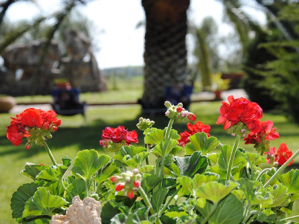 Tenuta Di Pontesodo Montalto di Castro Dış mekan fotoğraf