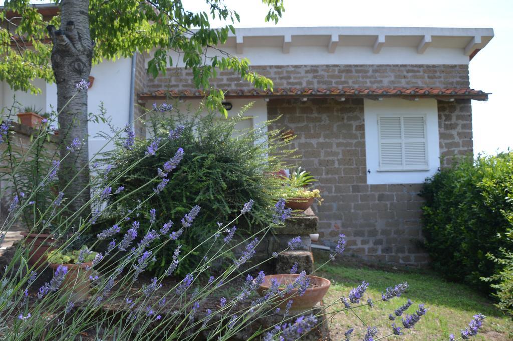 Tenuta Di Pontesodo Montalto di Castro Dış mekan fotoğraf