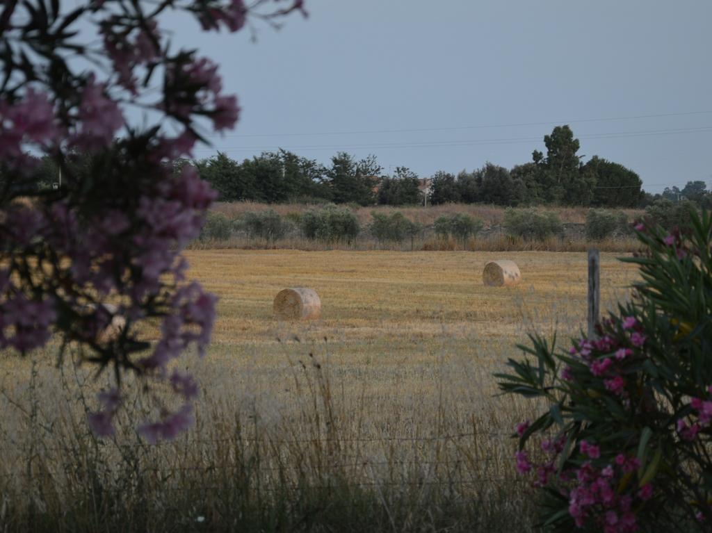 Tenuta Di Pontesodo Montalto di Castro Dış mekan fotoğraf