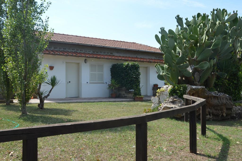 Tenuta Di Pontesodo Montalto di Castro Dış mekan fotoğraf
