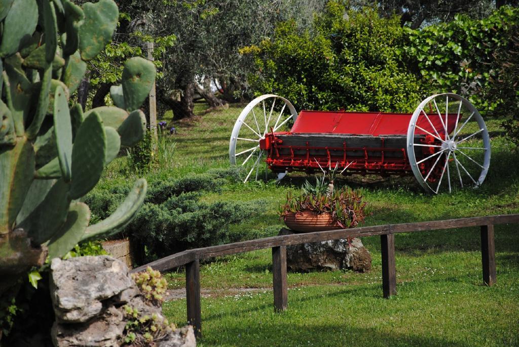 Tenuta Di Pontesodo Montalto di Castro Dış mekan fotoğraf