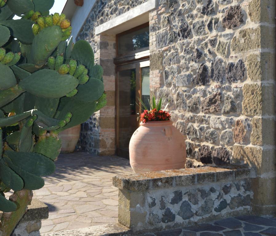 Tenuta Di Pontesodo Montalto di Castro Dış mekan fotoğraf