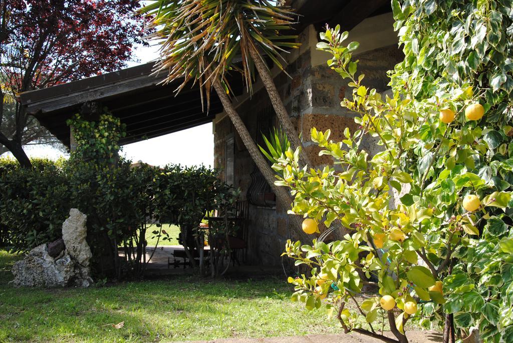 Tenuta Di Pontesodo Montalto di Castro Dış mekan fotoğraf